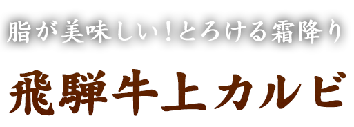 脂が美味しい！とろける霜降り