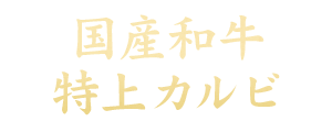 国産和牛特上カルビ