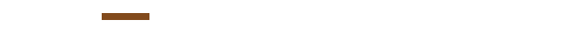 飛騨牛スペシャルコース